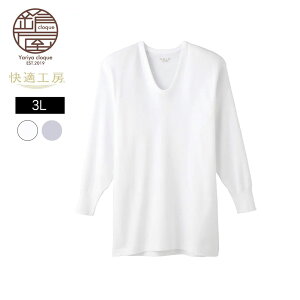 O[ GUNZE 3LTCY K H[ u   100 KH[ U am kb KH3010-3