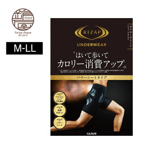 O[ GUNZE {NT[pc Y N ␮ {g V[g^Cv nCEGXg ̊T|[g p[V[g  GUNZE O[ RIZAP RZ1280 M-LL GUNZE11