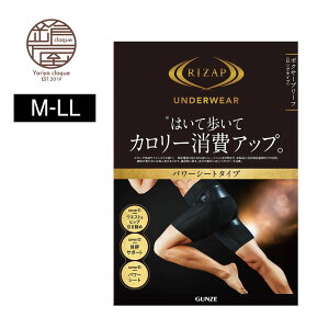 O[ GUNZE CUbv  {NT[pc Y O^Cv ␮ pc GUNZE RIZAP  ̊T|[g RZ1290 M-LL N GUNZE11 Ci[ 