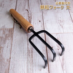 ߓ쏊kσtH[N S255×80mmbEēꂵ{idl@ЎO{LnhtH[N@|@K[fjOn̖{ꉍO𐻁y撣đIz