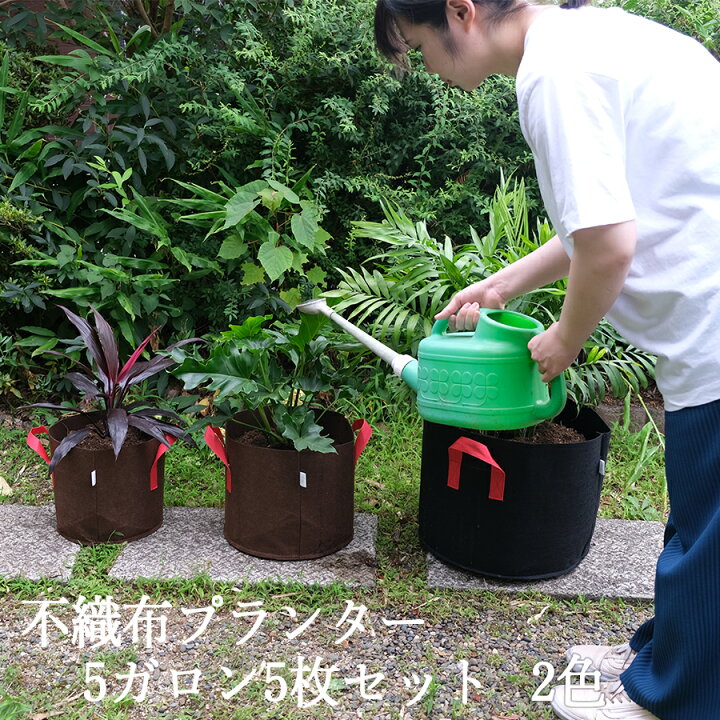 楽天市場】YNAK 不織布プランター 植木 鉢 園芸 花 野菜 植物 栽培 