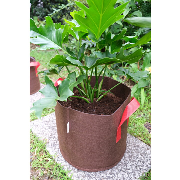 楽天市場】YNAK 不織布プランター 植木 鉢 園芸 花 野菜 植物 栽培 