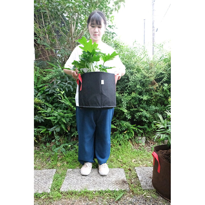楽天市場】YNAK 不織布プランター 植木 鉢 園芸 花 野菜 植物 栽培 