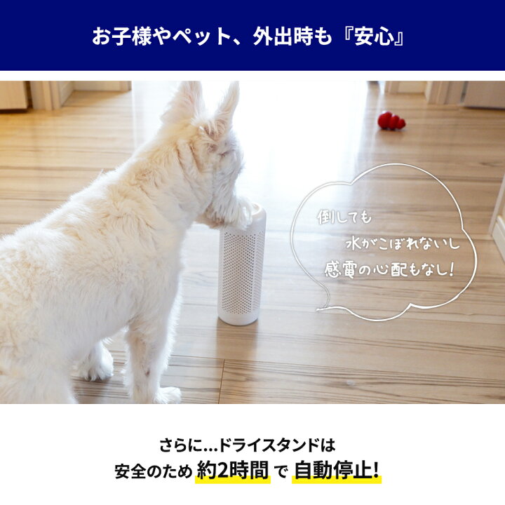 楽天市場】Yoitas 除湿ボトル 5本セット 単体 コンパクト除湿機用 