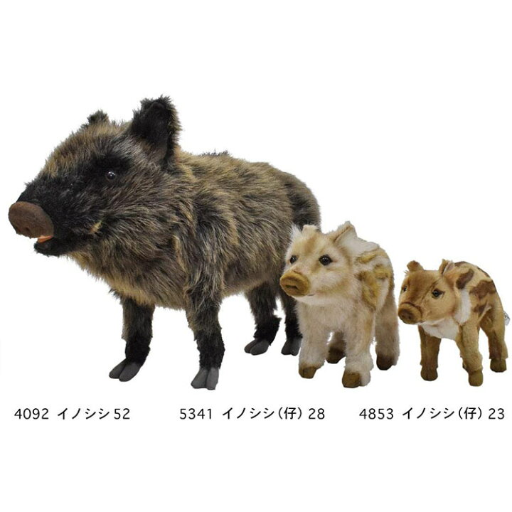 楽天市場 Hansa ハンサ イノシシ 仔 4853 リアル ぬいぐるみ 動物 愛らしい プレゼント アニマル ウリ坊 ウリボー Yokanootomo 楽天市場店