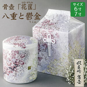    Ȍvf[Xu⟁v dƟT ˔Zbg 6E7  茳{ d I ~ ފ
