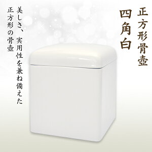   lp  茳{ d I ~ ފ y\ȍz