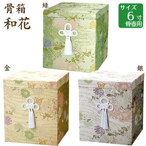  a EE 6 ٗp 茳{ d I ~