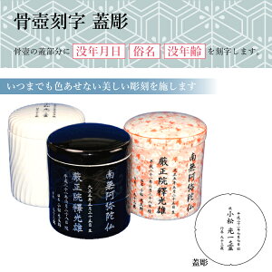  ٍ [U[ WivNEEvNjy\ȍzp