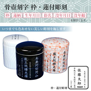  ٍ [U[ gE@tigE@ENEEvNEvNjy\ȍzp