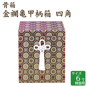  ET lp 6 ٗp 茳{ d I ~ ފ