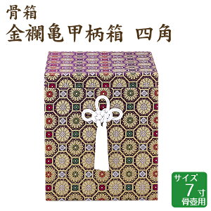  ET lp 7 ٗp 茳{ d I ~ ފ