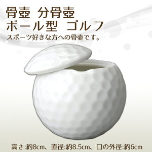     {[^ St  茳{ d I ~ ފ