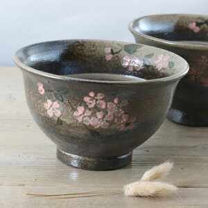 yvqāz 荠ȃTCY ǂ   ǂԂ  a14.8`16cmiTCYj yPi1z