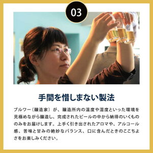 軽井沢ビールクラフトザウルスペールエール12缶セット