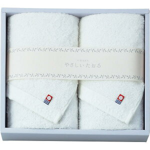 ŷz ₳ tFCX2W YT-24220W zCg ^I tFCX^I jE蕨Ɂy Ċ Ɋ΂Mtg uh  @l yYz