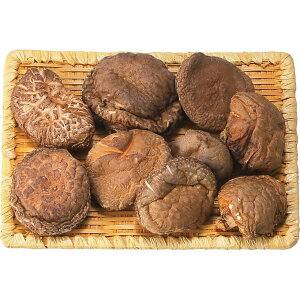 ŷz Y؊őǂ񂱁i55gj OD-15 Y؊őǂ ǂ񂱒ő ő ő lߍ킹 jE蕨Ɂy Ċ Ɋ΂Mtg uh