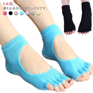  \bNX ~ C 5{w K KEFA ܖ{w lC ~ 悪  K EFA St X|[cEFA  W g[jOEFA 킢  g[