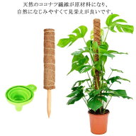 観葉植物 ポトス 園芸支柱 天然 ココナッツ支柱 モンステラ支柱 ガーデニング用 花ささえ 園芸支柱パーツ…