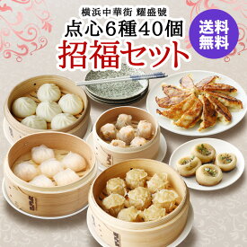 ギフト 横浜中華街 耀盛號　点心6種40個　招福セット 横浜中華街 お取り寄せ【冷凍商品】【送料無料】耀盛號 ようせいごう　生煎包　シェンチェンパオ　焼き小籠包　えび蒸し餃子　えび焼売　肉焼売　焼餃子　小肉まん