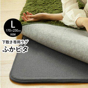 y2_ȏőP10{IvGg[420`z Oy^Iv[gz ~ ~O ӂs^ 3 170×230cm /郉OӂӂhOɂȂ Op~ O}bg 