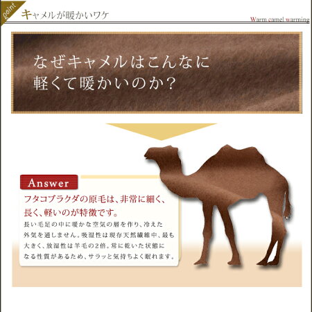 キャメル肌かけ布団
