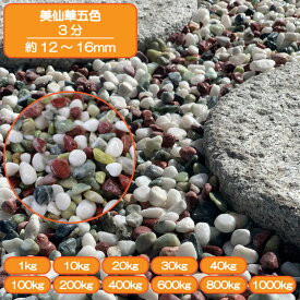 砂利 庭 アプローチ 花壇 美仙華五色 3分 12-16mm ミックス 和風 お墓 外構 石 天然石 化粧砂利 ガーデン diy 送料無料
