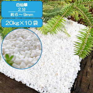   Av[` Ԓd  2  嗝 ʐ m a O\  VR ύ K[f diy 