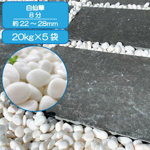   Av[` Ԓd  8 22-28mm  嗝 ʐ m a O\  VR ύ K[f diy 