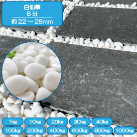 砂利 庭 アプローチ 花壇 白仙華 8分 22-28mm 白 大理石 玉石 洋風 和風 外構 石 天然石 化粧砂利 ガーデン diy 送料無料