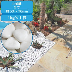   Av[` Ԓd  2 55-60mm  嗝 ʐ m a O\  VR ύ K[f diy 