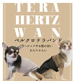 ベルクロテラバンド 【男の子用】◎ クークチュール ブランド 腹巻 犬 ドッグ 防寒 ベルト バンド 服 ペット ペットウェア 暖かい 春 夏 秋 冬 お洒落 散歩 防寒着 小型犬 中型犬 寒さ対策 温かい ※犬服 秋冬 月間優良ショップ クーポン ではありません