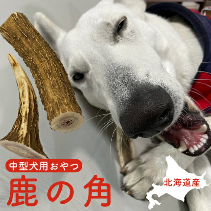 楽天市場 北海道産 鹿の角 中型犬用 蝦夷鹿 エゾ鹿 犬のおもちゃ 中型犬 大型犬 ドッグラン いたずら防止 噛み癖 防止 プレゼント ギフト ドッグフード 犬のおやつ 歯磨き 口臭予防 デンタルケア 愛犬 ストレス発散 Mofu Parfait ペット 犬猫介護用品