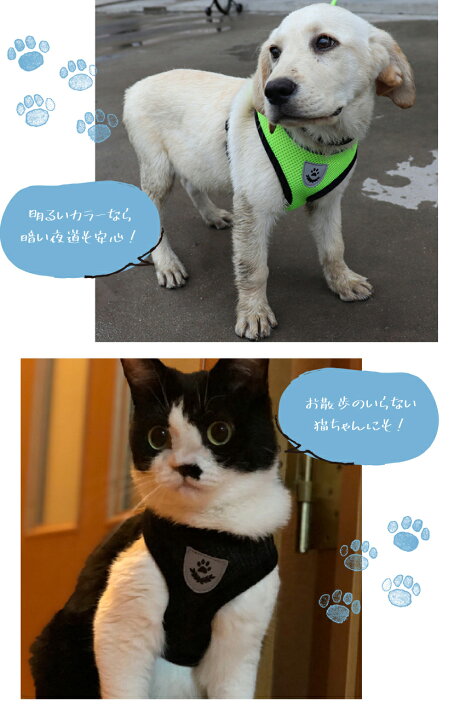 マゼンタxl ハーネス リード 人気 散歩 犬用品 猫用品 脱走防止 避難 が大特価 リード マゼンタxl ハーネス リード 人気 散歩 犬用品 猫用品 脱走防止 避難 が大特価 リード