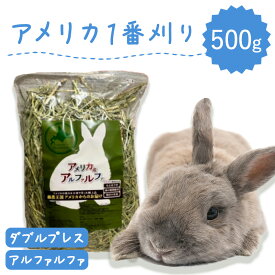 うさぎ牧草 ウサギ アルファルファ ダブルプレス 500g アメリカ産 アメリカ US 1番刈り 一番狩り うさぎ 牧草王国 牧草 mofu parfait もふぱふぇ チンチラ うさぎ モルモット 牧草 えさ 敷材n SSS