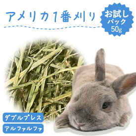 【お試しパック】うさぎ 牧草 ウサギ アルファルファ ダブルプレス 50g アメリカ産 アメリカ US 1番刈り 一番刈り 牧草王国 うさぎ 牧草 mofu parfait もふぱふぇ チンチラ うさぎ モルモット 牧草 えさ 敷材　ラベルレス お試し パック 送料無料 n