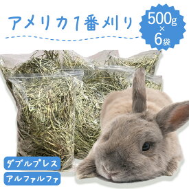 【ラベルレス】うさぎ 牧草 ウサギ アルファルファ ダブルプレス 500g×6袋 アメリカ産 牧草王国 アメリカ 1番刈り 一番刈り うさぎ 牧草 mofu parfait もふぱふぇ チンチラ うさぎ モルモット 牧草 えさ 敷材　ラベルレス n SSS