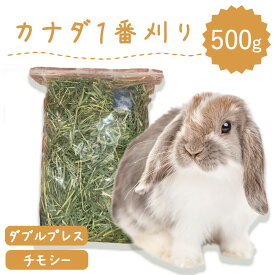 うさぎ 牧草 うさぎ チモシー ダブルプレス 500g カナダ産 1番刈り 一番刈り うさぎ 牧草 mofu parfait もふぱふぇ チンチラ うさぎ モルモット 牧草 えさ 敷材 ラベルレス ※イタリアンライグラス スーダングラス 牛 バター ロール ラップ 種 ではありません