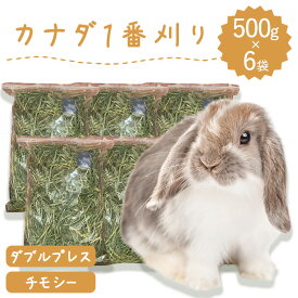 【ラベルレス】うさぎ ウサギ牧草 チモシー ダブルプレス 牧草王国 500g×6袋 カナダ産 1番刈り うさぎ 牧草 mofu parfait もふぱふぇ チンチラ モルモット 敷材 ラベルレス ※オーツヘイ イタリアンライグラス スーダングラス 牛 バター ではありません SSS