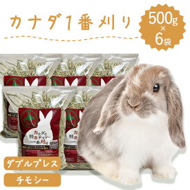 うさぎ牧草 カナダ産1番刈りチモシー うさぎ牧草 500g×6袋 うさぎ 牧草 ダブルプレス うさぎ牧草 ジップ付 ウサギ モルモット チンチラ うさぎ牧草 1番狩り 一番刈り うさぎ牧草 牧草王国 SSS