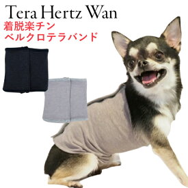 楽天市場 腹巻 大きさ 犬 大型犬 ペット ペットグッズ の通販