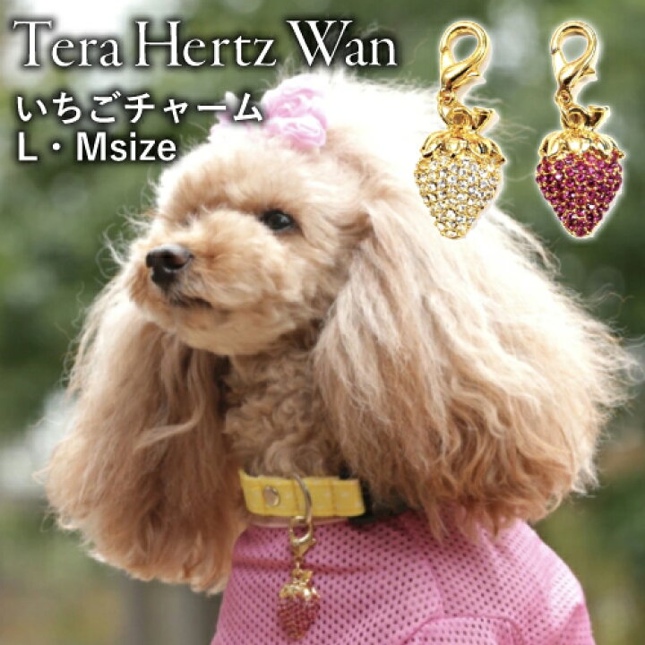 楽天市場 テラヘルツ いちごチャーム おしゃれ ペット セレブ アクセサリー チワワ プードル 猫 プレゼント コスプレ イベント 小型犬 シンプル キュート シルバー 鉱石 誕生日 クリスマス ヘルニア 介護 シニア犬 首輪 保護猫 中型犬 Mofu Parfait ペット 犬猫介護用品