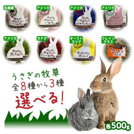 【お得商品！500g×3袋】3点選んで購入 ウサギ牧草 うさぎ チモシー 北海道産 アメリカ産 カナダ産 オーストラリア産 シングルプレス アルファルファ オーツヘイ クレイングラス 500g 1番刈り 一番刈り 二番刈り チンチラ モルモット えさ 選べる ※同種類は選べません
