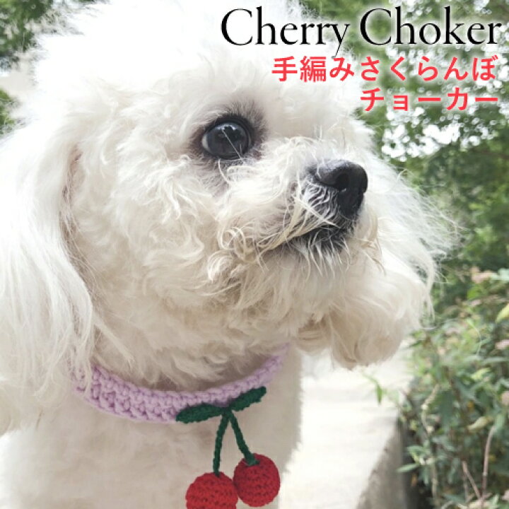楽天市場 首輪 サクランボ 犬 猫 おしゃれ かわいい ペット 中型犬 ネコ 女の子 小型犬 送料無料 ニット 手編み 軽量 柔らかい オシャレ 可愛い プレゼント アクセサリー チョーカー チワワ マンチカン 光る 名前入 名入れ 革 リボン レザー 楽天市場 首輪 サクランボ 犬 猫 おしゃれ かわいい ペット 中型犬 ネコ 女の子 小型犬 送料無料 ニット 手編み 軽量 柔らかい オシャレ 可愛い プレゼント アクセサリー チョーカー チワワ マンチカン 光る 名前入 名入れ 革 リボン レザー
