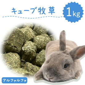 【アルファルファキューブ】【業者の方歓迎】うさぎ牧草 ウサギ アルファルファ キューブ 牧草 1kg うさぎ 牧草 mofu parfait もふぱふぇ チンチラモルモット 牧草 えさ 牧草王国 おやつ ※ オーツヘイ ハウス 高齢 シニア ではありません