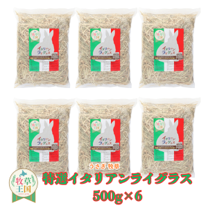  q C^ACOX 500g×6 ӂςӂ q ETM fO[ `` nX^[ bg nDQ H@ۖLx `V[pi SSS