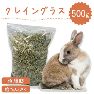 yxXzETM q  NCOX 500g×1 xX ^pN ᎉb _CGbg  q q  a `` bg q  ~ C^AC