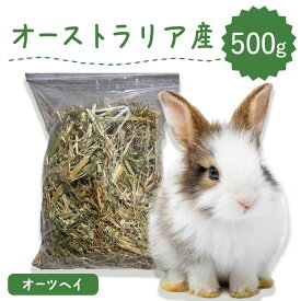 【ラベルレス】うさぎ 牧草 ウサギ オーツヘイ 500g オーストラリア産 うさぎ 草 mofu parfait もふぱふぇ チンチラ うさぎ モルモット 牧草王国 牧草 えさ 敷材 ラベルレス お試し パック ラベルレス n SSS