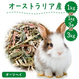 うさぎ 牧草 ウサギ オーツヘイ 選べる 1kg or 1kg×3袋 or 3kg オーストラリア産 うさぎ 草 mofu parfait もふぱふぇ チンチラ うさぎ モルモット 牧草 えさ 牧草王国 敷材　ラベルレス お試し パック n SSS