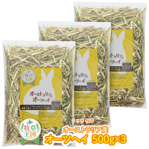  q ETM I[cwC 500g×3 I[XgAY   a q mofu parfait ӂςӂ ``  bg q  ~ށ@xX  pbN n SSS